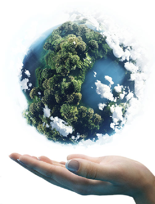 Sustentabilidade