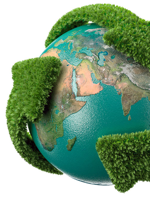 Sustentabilidade